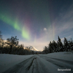 Winterlandschaft mit Loipe